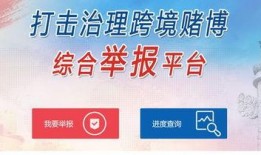 生活中爆料视频网站大全,揭秘热门生活爆料视频网站大盘点