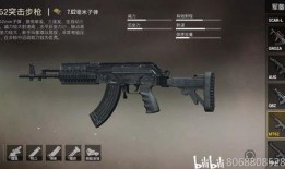 和平精英武器最新爆料,神秘性能引发热议，玩家期待度飙升